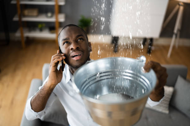 Best Water damage contractors near me  in Sea Bright, NJ