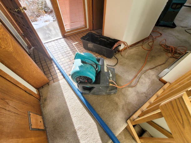  Sea Bright, NJ Water damage restoration Pros