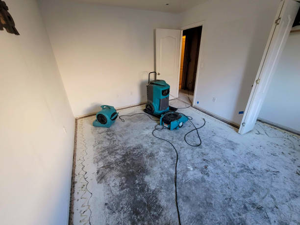 Best Professional water damage repair  in Sea Bright, NJ
