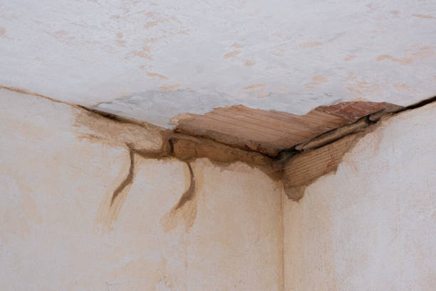 Best Flood restoration services  in Sea Bright, NJ