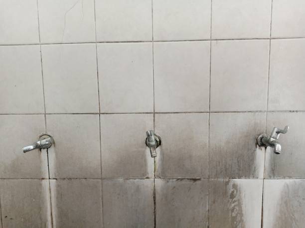 Trusted Sea Bright, NJ Water damage restoration Experts