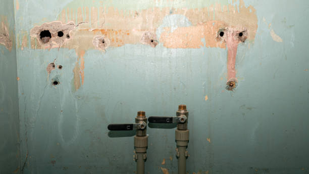 Best Residential water damage restoration  in Sea Bright, NJ