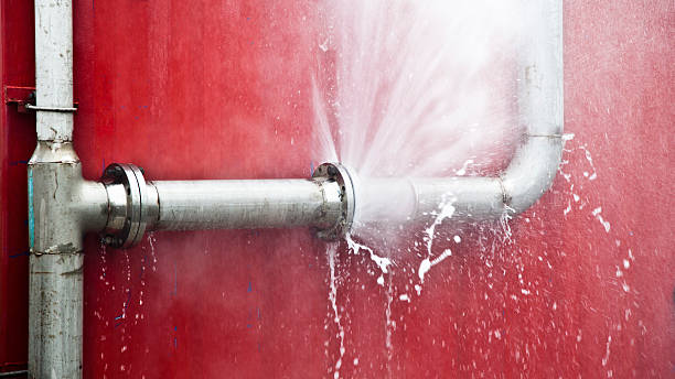 Best Carpet water damage restoration  in Sea Bright, NJ